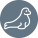 icône phoque gris