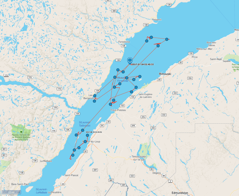 e tracks from the beluga from June 15 to July 4. 