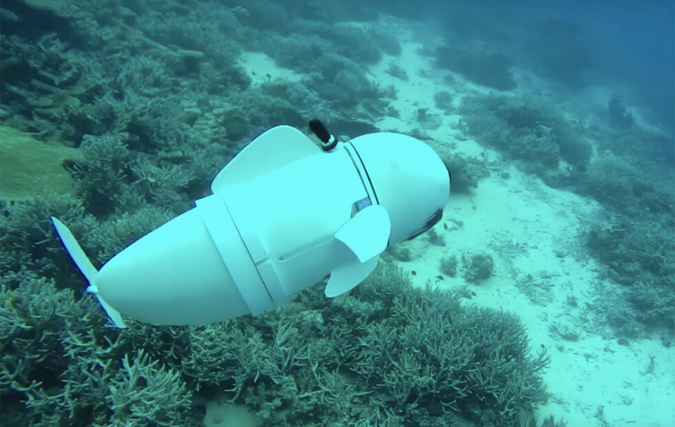 Drone SoFi, qui avance sous l'eau en ondulant comme un poisson.