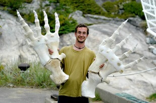Pectoral fins of a sperm whale look massive in the hand of a human adult