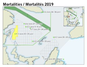 Carte des mortalités.