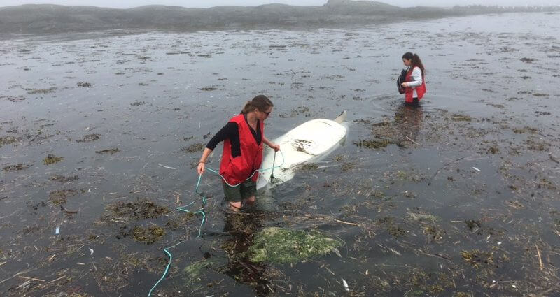 Volunteers Émilie Simard and Jade Brossard attach a line to a beluga carcass in the Parc National du Bic, Rimouski to bring it to shore.