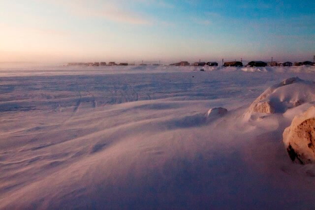 arctique
