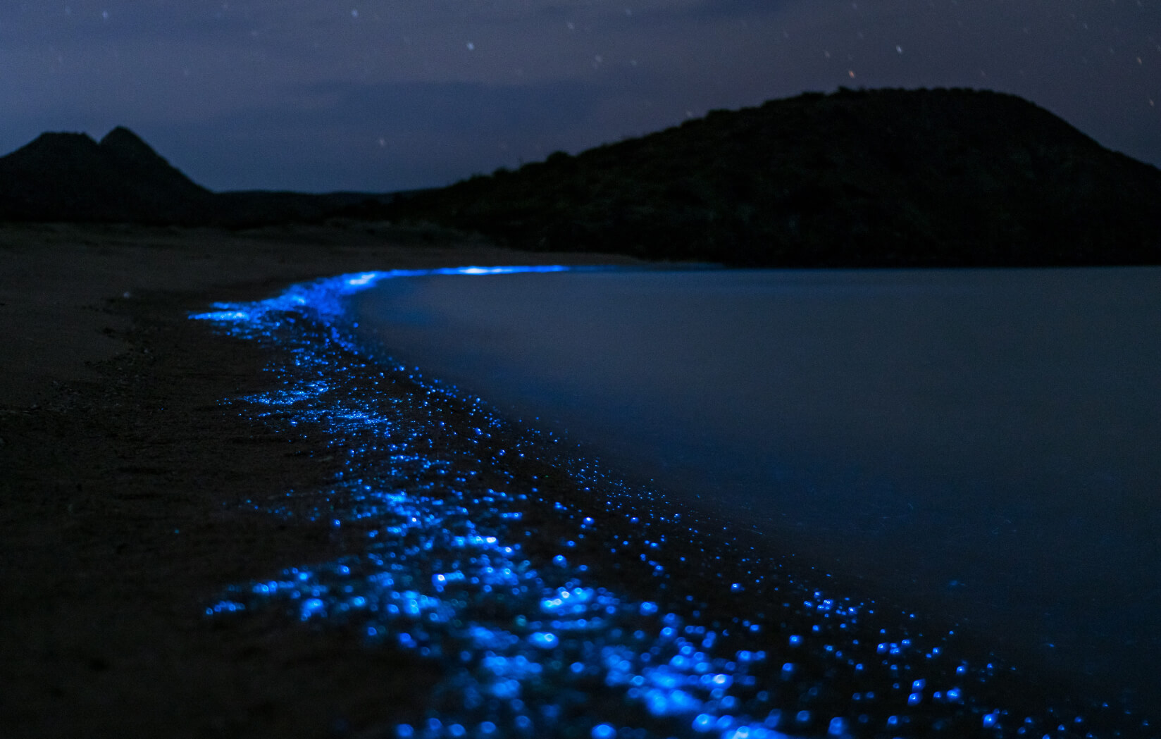 bioluminescent water