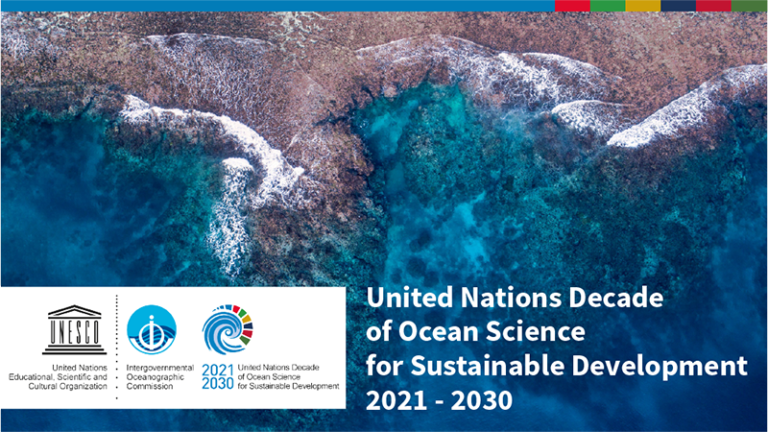 United Nations Kicks off Decade of the Oceans - Baleines en direct