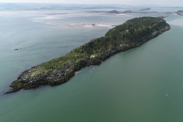 Dissertation kamouraska 06 image