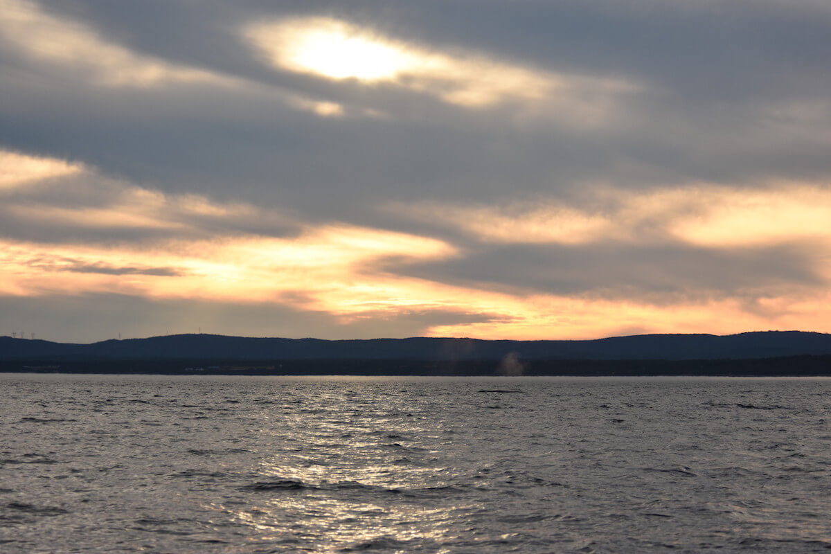 Sunset on the St. Lawrence River