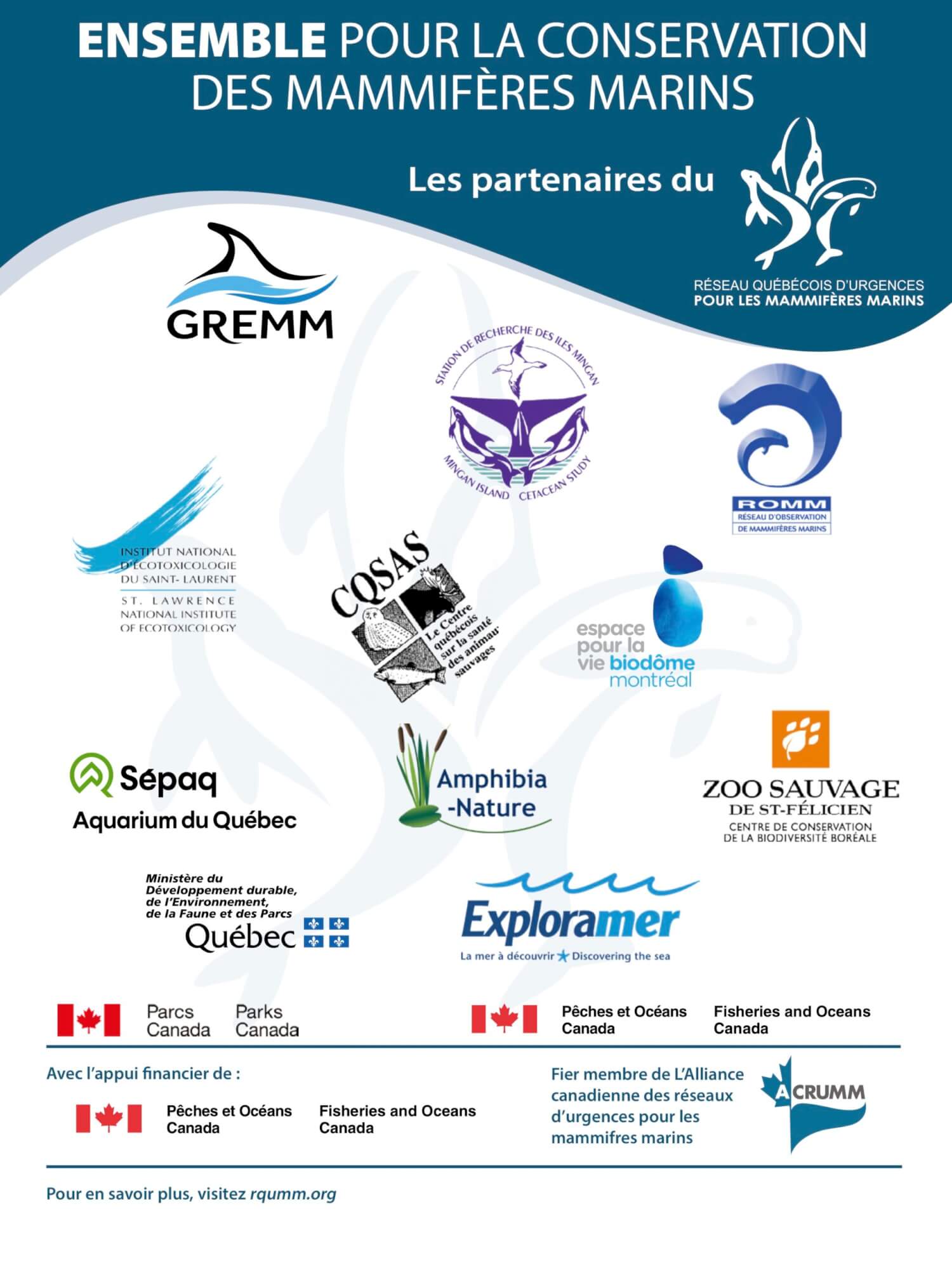 Logos des membres partenaires du Réseau. Les partenaires sont le GREMM, le CERSI, le ROMM, le CQSAS, le MICS, l'institut de recherche en écotoxicologie du Saint-Laurent, le biodôme de Montréal, la Sépaq, Amphibia-Nature, le Zoo sauvage de Saint-Félicien, Exploramer, le ministère québécois de l'environnement et de la lutte aux changements climatiques, exploramer, Parcs Canada et le ministère canadien pêches et océans. Avec l'appui financier du ministère pêches et océans Canada.