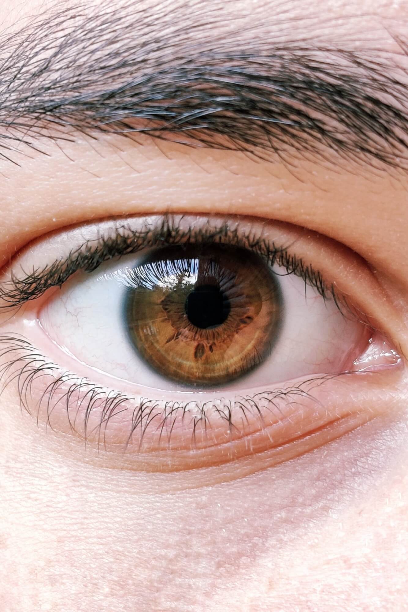 This is why EVERYONE has brown eyes - even if they look blue | Blue eye  color, Purple eyes, Gray eyes